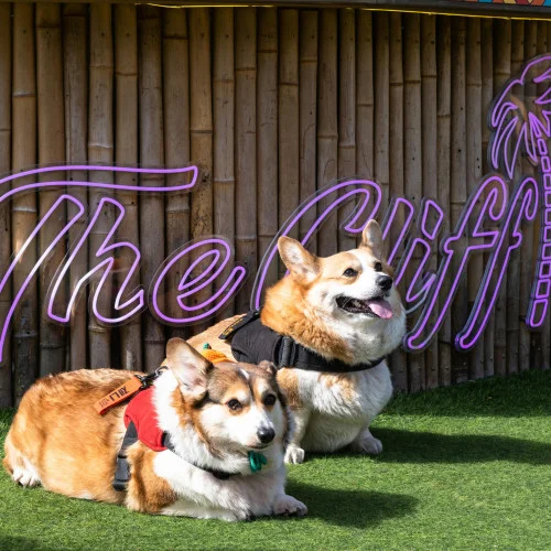 Ξενοδοχεία