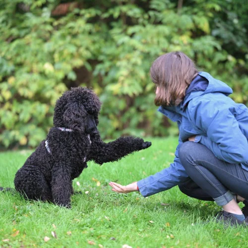 Εκπαίδευση