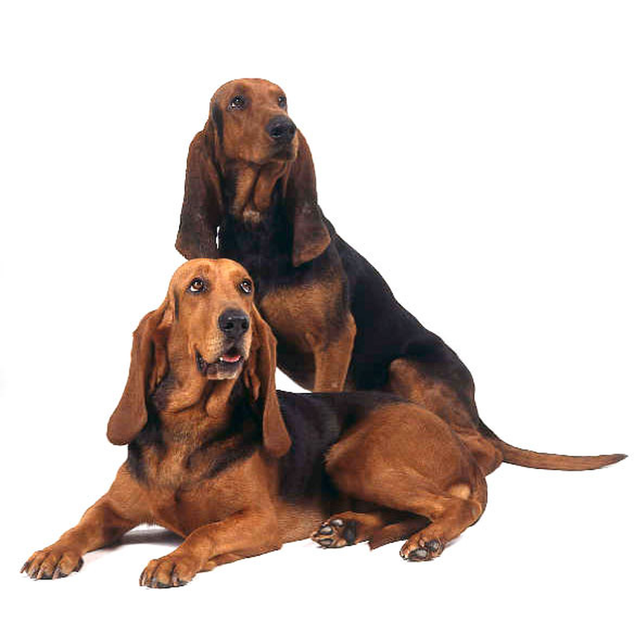 Bruno Jura - Μπρούνο Γιούρα