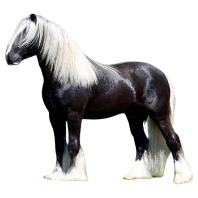 Gypsy - Τζίπσι