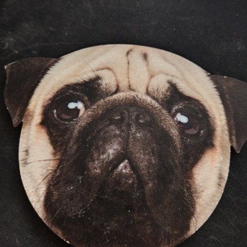 Νέα αγγελία μινι