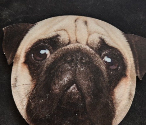 Νέα αγγελία μινι