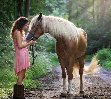 🐎 Σωστή Φροντίδα Αλόγου: Ο Απόλυτος Οδηγός για Υγεία & Ευεξία